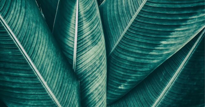 Consulting/Laboratory Testing