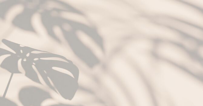 Microneedling, PRP/PRF, and Exosomes